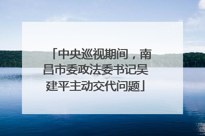 中央巡视期间，南昌市委政法委书记吴建平主动交代问题
