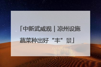 中新武威观｜凉州设施蔬菜种出好“丰”景