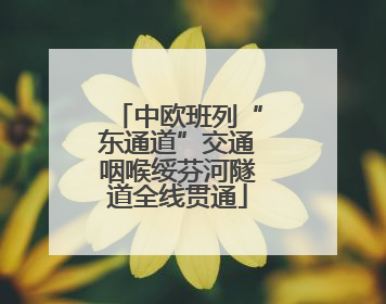 中欧班列“东通道”交通咽喉绥芬河隧道全线贯通