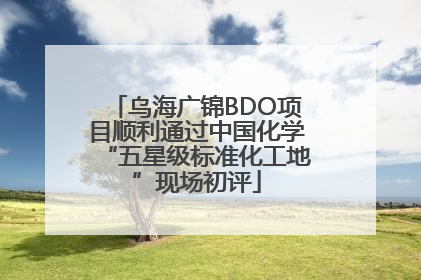 乌海广锦BDO项目顺利通过中国化学“五星级标准化工地”现场初评