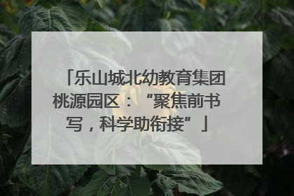 乐山城北幼教育集团桃源园区：“聚焦前书写，科学助衔接”