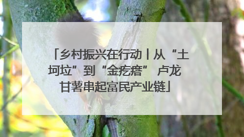 乡村振兴在行动丨从“土坷垃”到“金疙瘩” 卢龙甘薯串起富民产业链