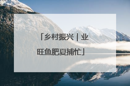 乡村振兴｜业旺鱼肥夏捕忙