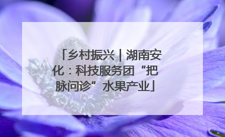 乡村振兴｜湖南安化：科技服务团“把脉问诊”水果产业