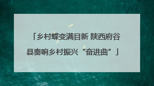 乡村蝶变满目新 陕西府谷县奏响乡村振兴“奋进曲”