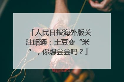 人民日报海外版关注昭通：土豆变“米”，你想尝尝吗？