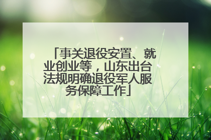 事关退役安置、就业创业等，山东出台法规明确退役军人服务保障工作