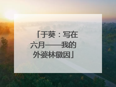 于葵：写在六月——我的外婆林徽因