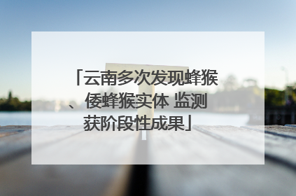 云南多次发现蜂猴、倭蜂猴实体 监测获阶段性成果