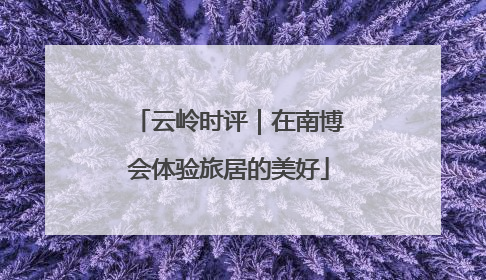 云岭时评｜在南博会体验旅居的美好