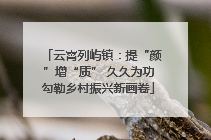 云霄列屿镇：提“颜”增“质” 久久为功勾勒乡村振兴新画卷