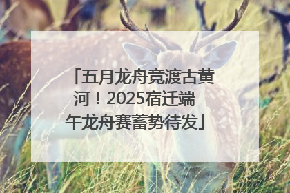 五月龙舟竞渡古黄河！2025宿迁端午龙舟赛蓄势待发