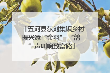 五河县东刘集镇乡村振兴添“金羽” “鸽”声叫响致富路