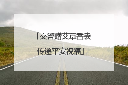 交警赠艾草香囊 传递平安祝福