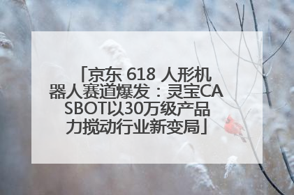 京东 618 人形机器人赛道爆发：灵宝CASBOT以30万级产品力搅动行业新变局