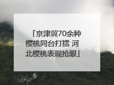 京津冀70余种樱桃同台打擂 河北樱桃表现抢眼