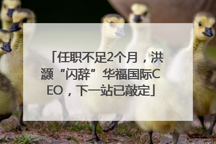 任职不足2个月，洪灏“闪辞”华福国际CEO，下一站已敲定