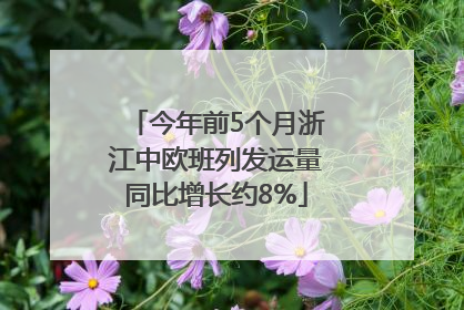 今年前5个月浙江中欧班列发运量同比增长约8%