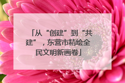 从“创建”到“共建”，东营市精绘全民文明新画卷
