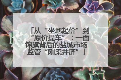 从“坐地起价”到“原价提车”：一面锦旗背后的盐城市场监管“刚柔并济”
