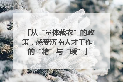 从“量体裁衣”的政策，感受济南人才工作的“精”与“暖”