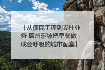 从便民工程到支柱业务 眉州东坡把早餐做成会呼吸的城市配套