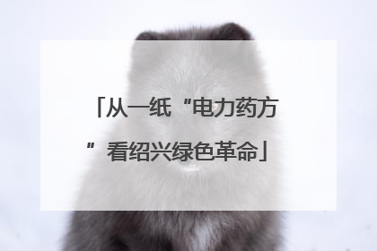 从一纸“电力药方”看绍兴绿色革命