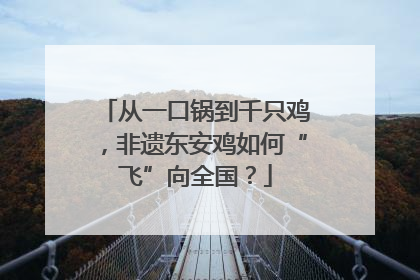 从一口锅到千只鸡，非遗东安鸡如何“飞”向全国？