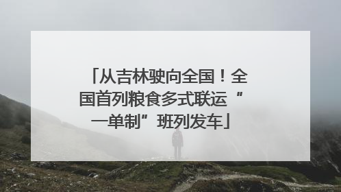 从吉林驶向全国！全国首列粮食多式联运“一单制”班列发车