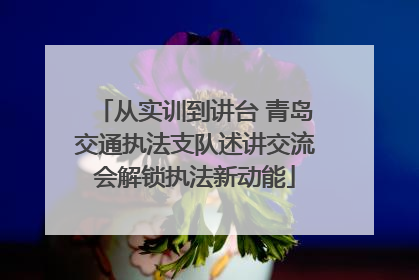 从实训到讲台 青岛交通执法支队述讲交流会解锁执法新动能