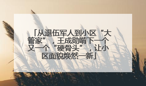 从退伍军人到小区“大管家”，王成勋啃下一个又一个“硬骨头”，让小区面貌焕然一新