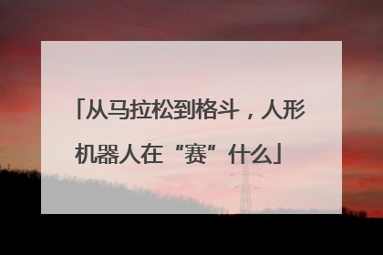 从马拉松到格斗，人形机器人在“赛”什么
