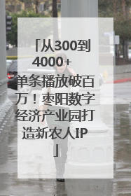 从300到4000+ 单条播放破百万！枣阳数字经济产业园打造新农人IP