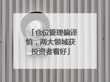 仓位管理偏谨慎，两大领域获投资者看好