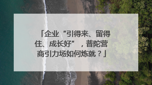 企业“引得来、留得住、成长好”，普陀营商引力场如何炼就？