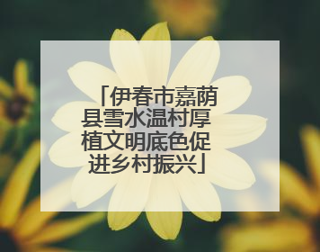 伊春市嘉荫县雪水温村厚植文明底色促进乡村振兴