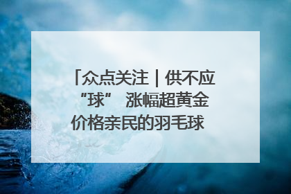 众点关注｜供不应“球” 涨幅超黄金 价格亲民的羽毛球为何身价飞涨？