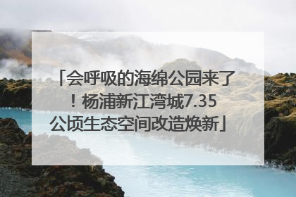 会呼吸的海绵公园来了！杨浦新江湾城7.35公顷生态空间改造焕新
