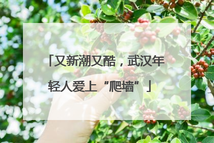 又新潮又酷，武汉年轻人爱上“爬墙”