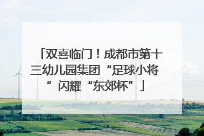 双喜临门！成都市第十三幼儿园集团“足球小将”闪耀“东郊杯”