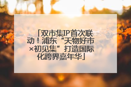 双市集IP首次联动！浦东“天物好市×初见集”打造国际化跨界嘉年华
