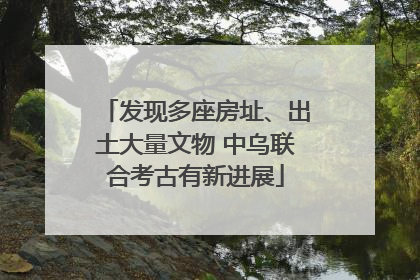 发现多座房址、出土大量文物 中乌联合考古有新进展