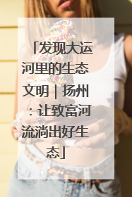 发现大运河里的生态文明｜扬州：让致富河流淌出好生态