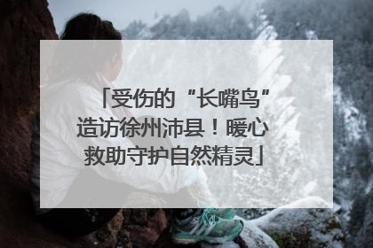 受伤的“长嘴鸟”造访徐州沛县！暖心救助守护自然精灵