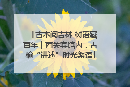 古木阅吉林 树语藏百年｜西关宾馆内，古榆“讲述”时光絮语