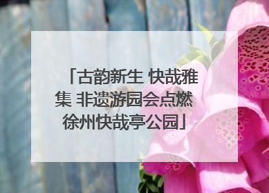 古韵新生 快哉雅集 非遗游园会点燃徐州快哉亭公园