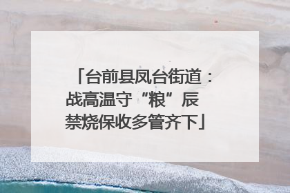 台前县凤台街道：战高温守“粮”辰 禁烧保收多管齐下