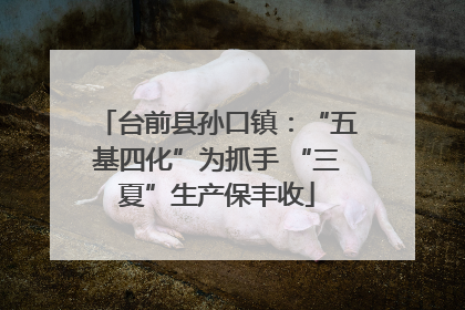 台前县孙口镇：“五基四化”为抓手 “三夏”生产保丰收