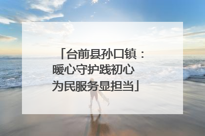 台前县孙口镇：暖心守护践初心 为民服务显担当