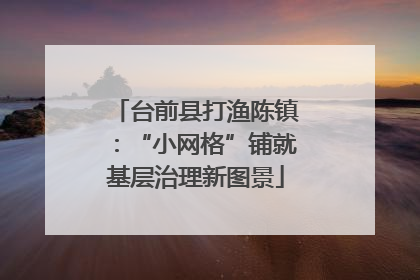 台前县打渔陈镇：“小网格”铺就基层治理新图景